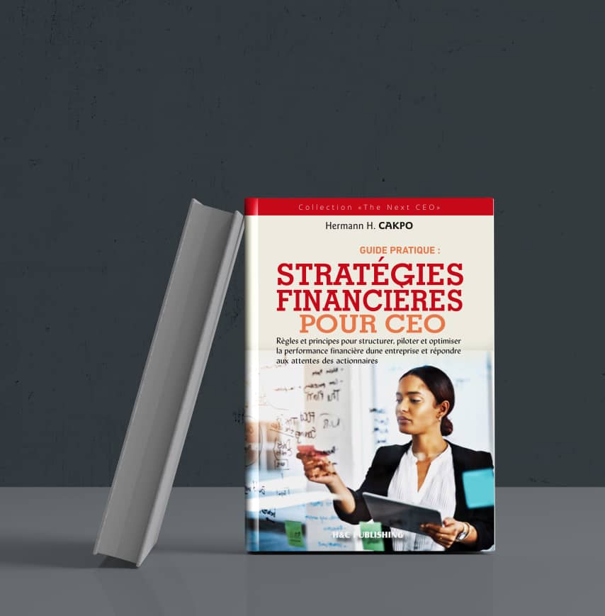 Stratégies financières pour CEO - pilotage financier
